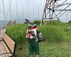 생창리 DMZ 십자탑 정비, 사계국 식재