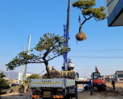 가정집조경 시공사례