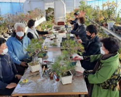 현장학습, 철원군 평생학습관 분재교실